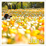 6月