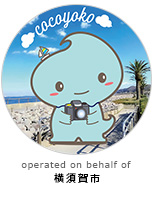 yokosuka travel