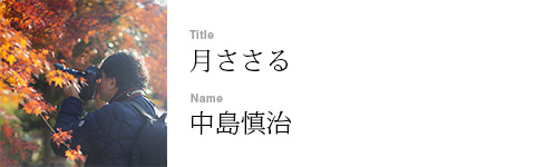 中島慎治