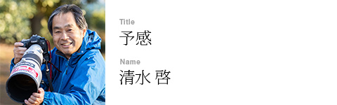 清水 啓