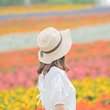 ことり / Kotori